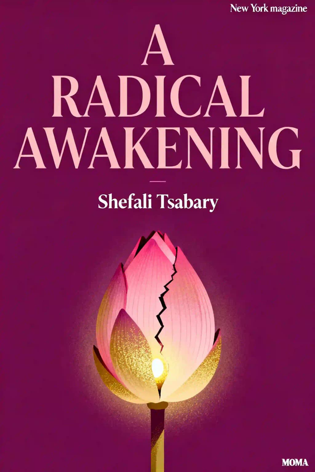 A Radical Awakening book cover