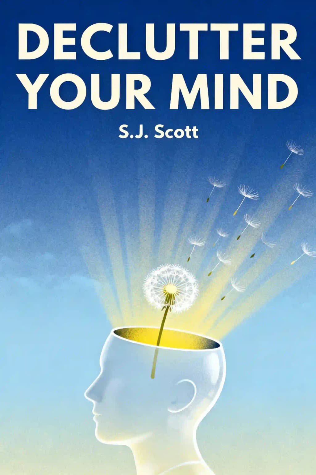 Riordina la tua mente: Come smettere di preoccuparsi, alleviare l'ansia ed eliminare i pensieri negativi book cover