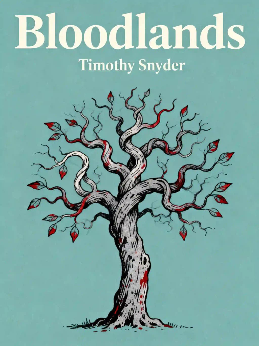 Bloodlands: Europe Between Hitler and Stalin book cover