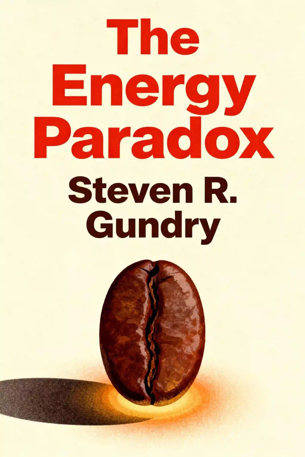 The Energy Paradox: What to Do When Your Get-Up-and-Go Has Got Up and Went book cover