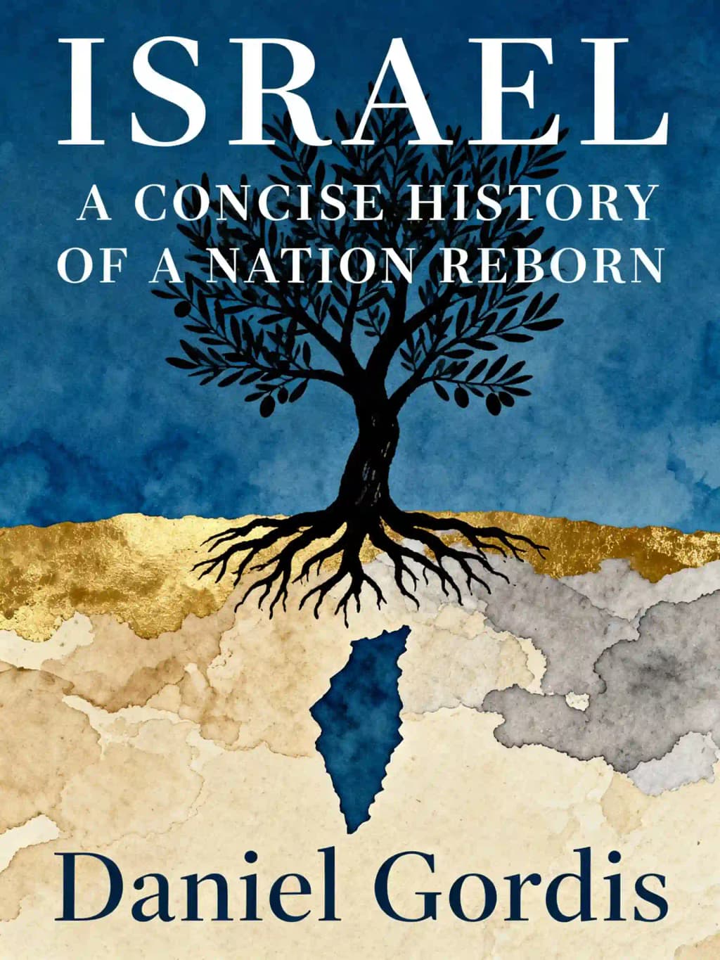Israele. Una storia della nazione ritrovata: Una Breve Storia di una Nazione Rinata book cover