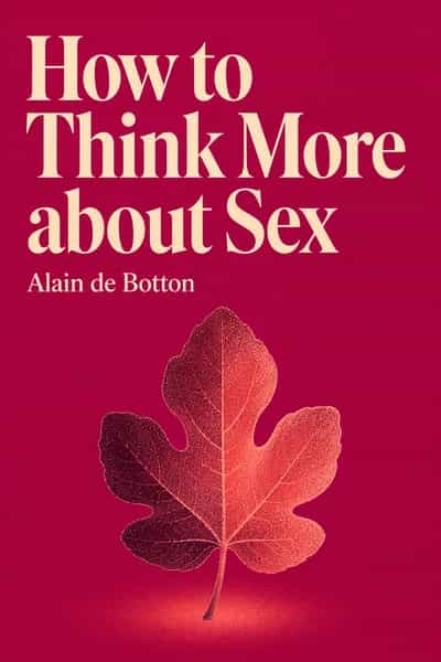 How to Think More about Sex book cover