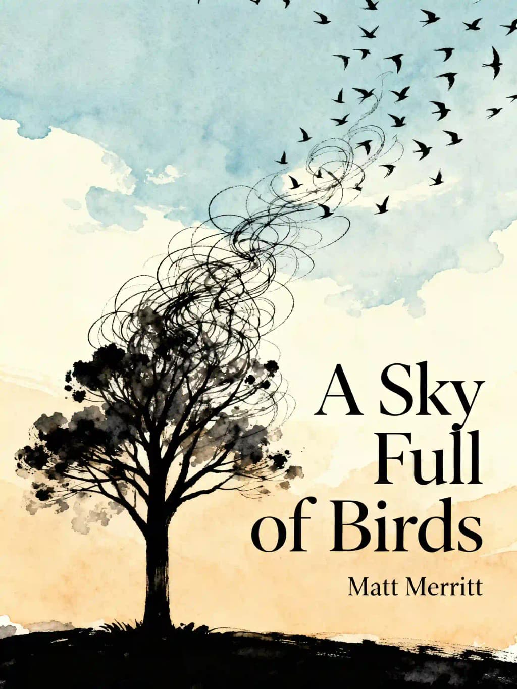 A Sky Full of Birds book cover
