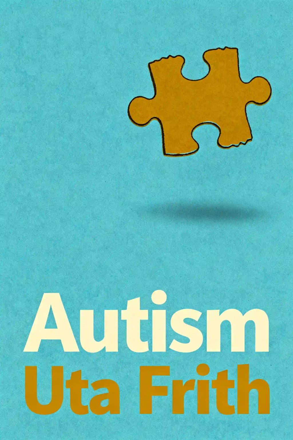 自閉症の謎解き book cover