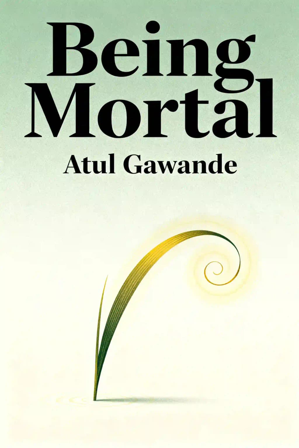 Mortais: A Medicina e o que Importa no Final book cover