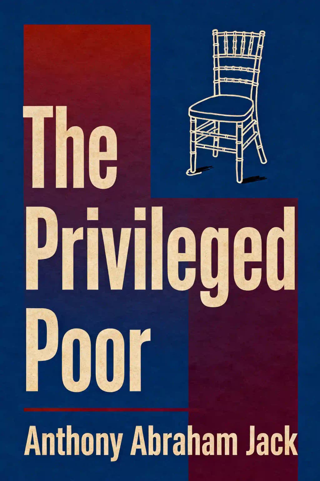 The Privileged Poor: How Elite Colleges Are Failing Disadvantaged Students book cover