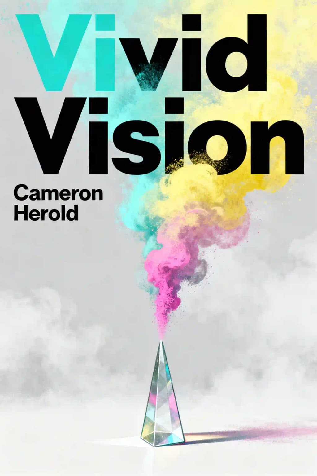 Visione Vivida book cover