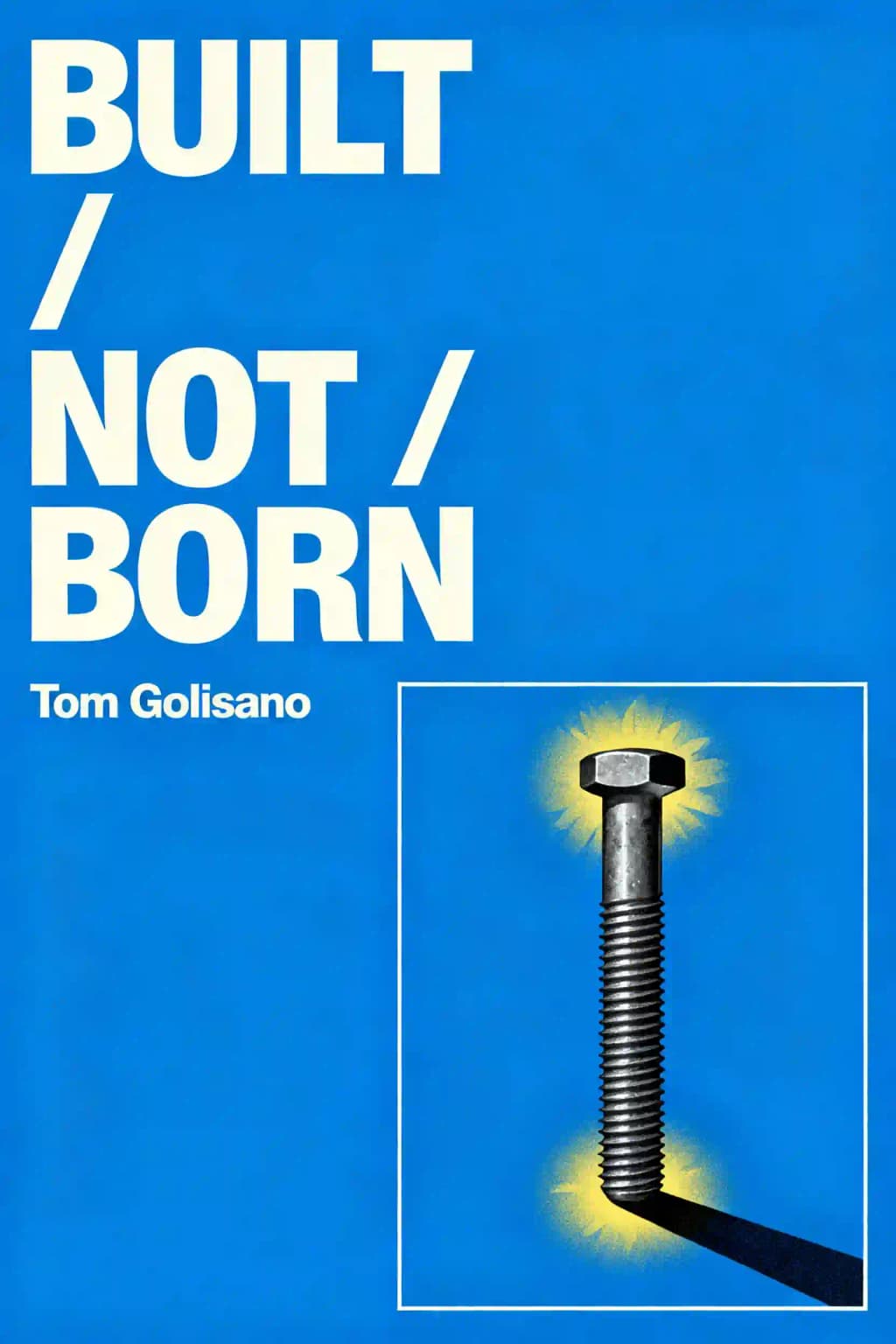 Leader si nasce o si diventa?: Guida Pratica per Imprenditori di un Miliardario che si è Fatto da Solo book cover