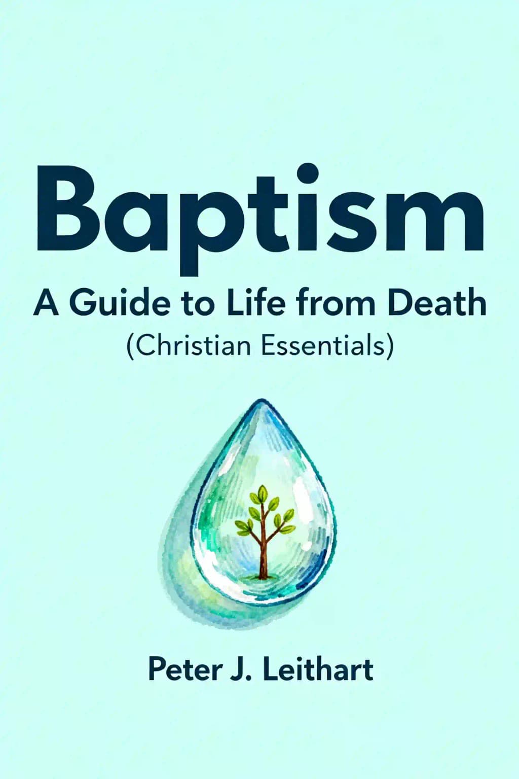 세례: 죽음으로부터 배우는 삶의 지침 (기독교 핵심 원리) book cover