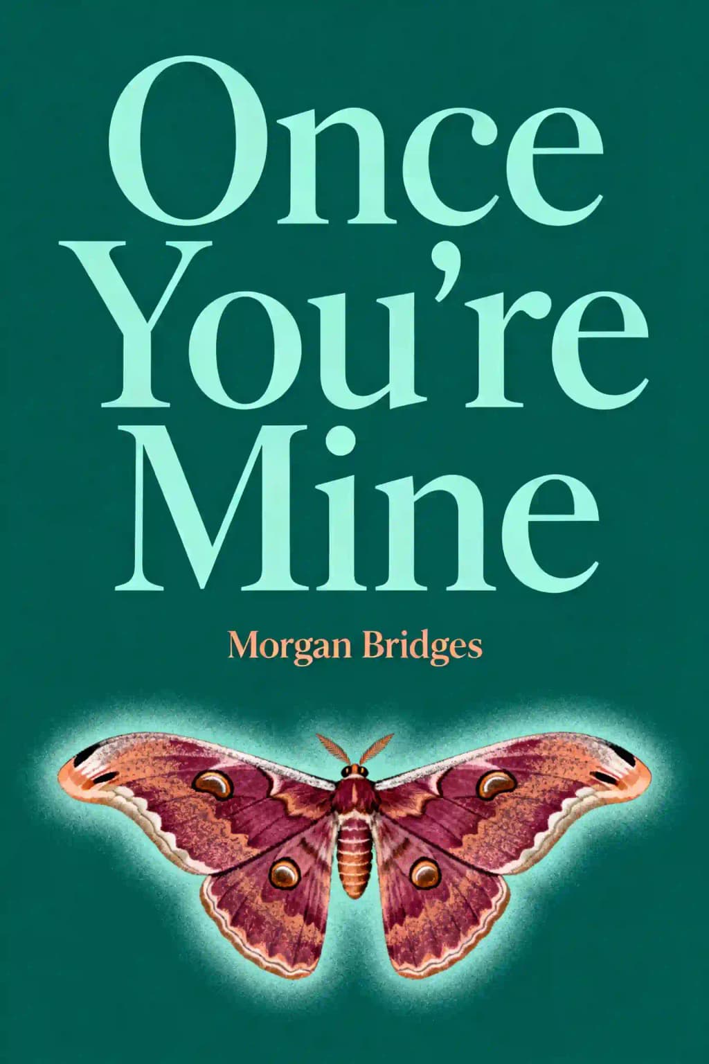 Once you’re mine book cover