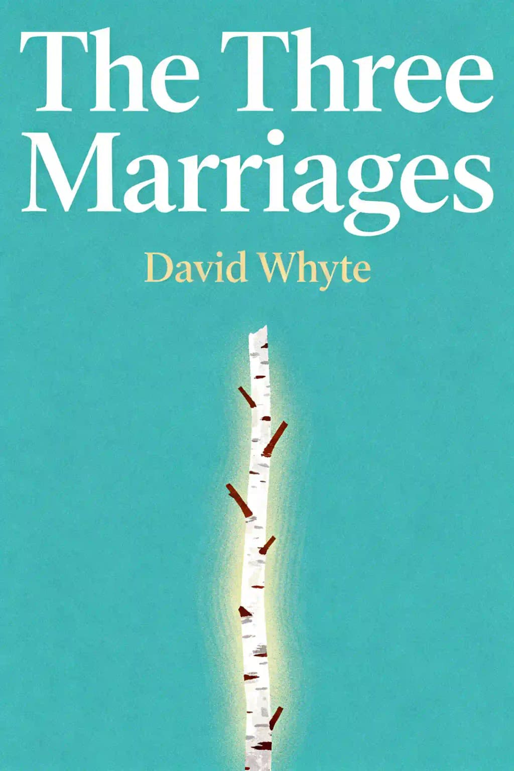 The three marriages: reimagining work, self and relationship book cover