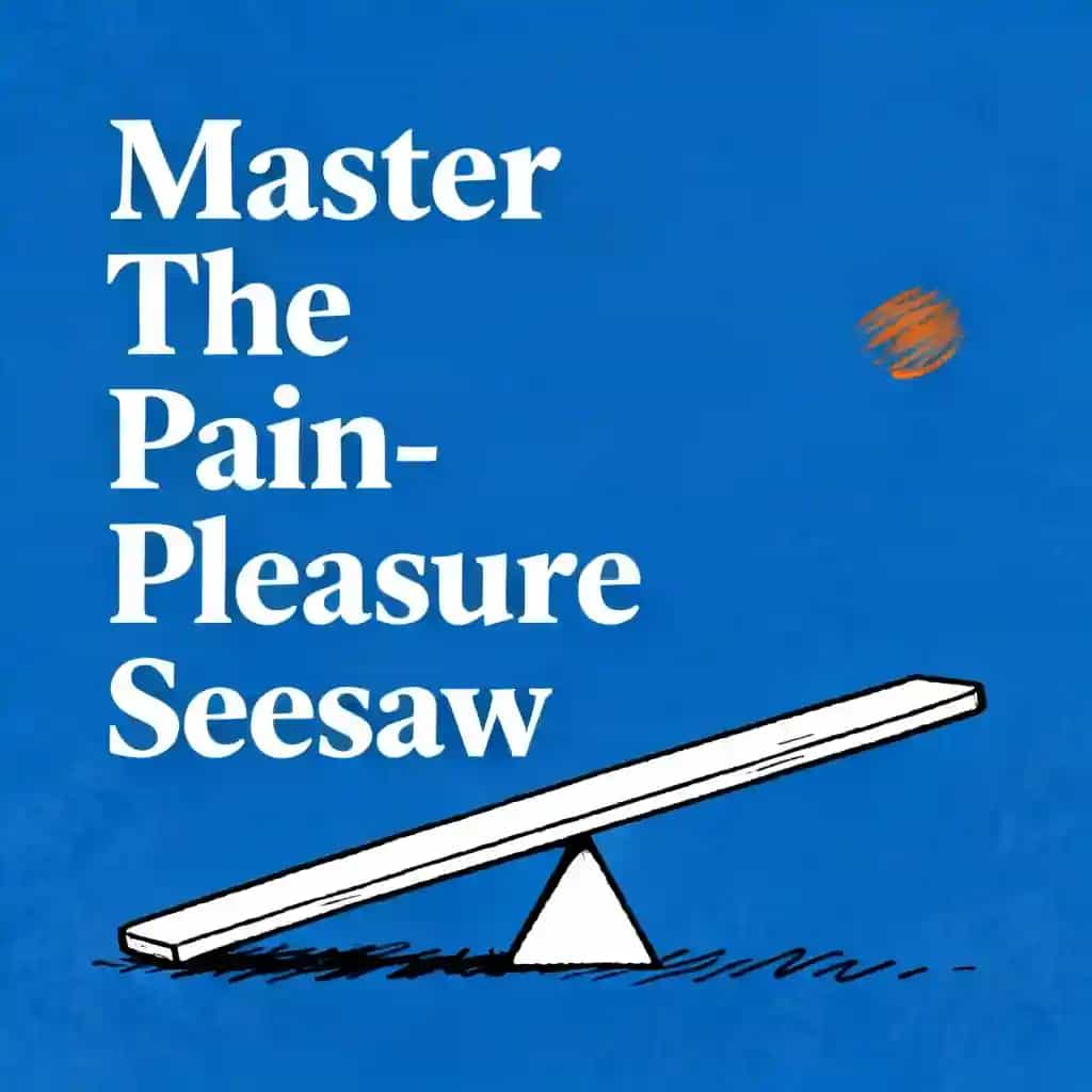 The Pain-Pleasure Seesaw: Master Your Brain's Hidden Control Panel 책 표지