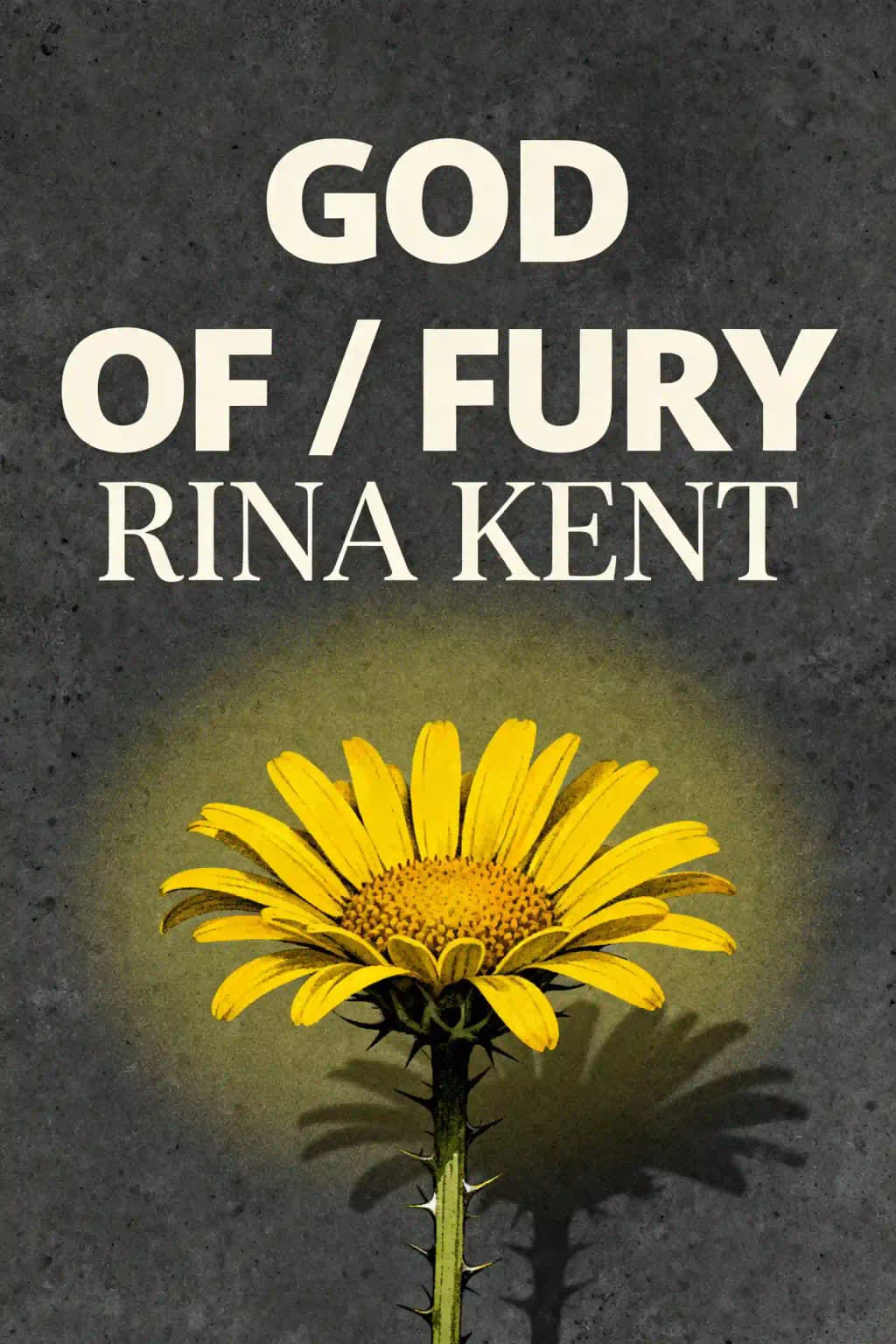 Dieu de fureur: Impression Édition Spéciale book cover