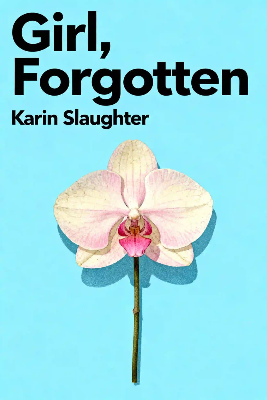 Die Vergessene book cover