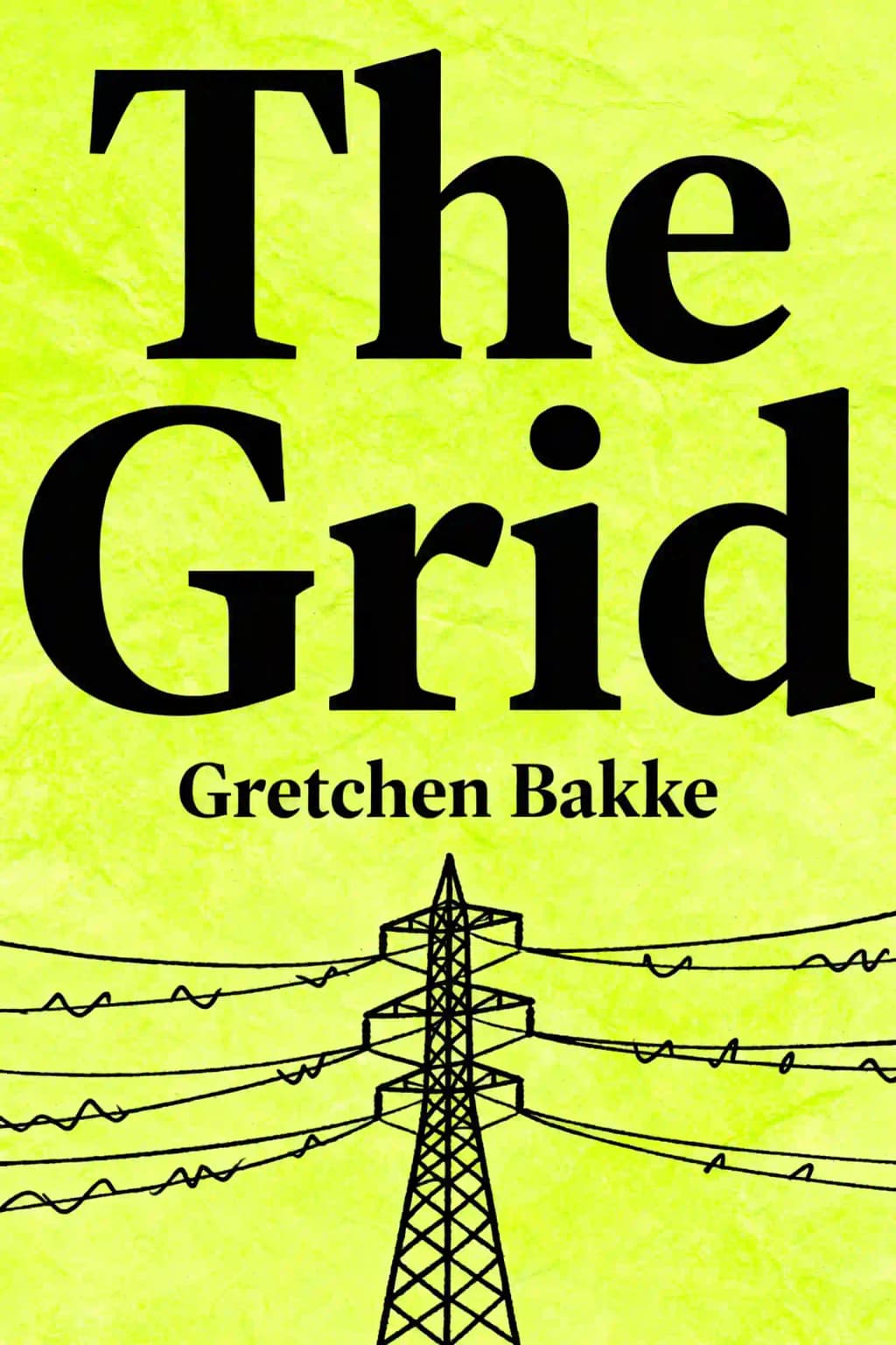 La France électrique : un siècle de fureur et de ferveur: Les fils effilochés entre les Américains et notre avenir énergétique book cover