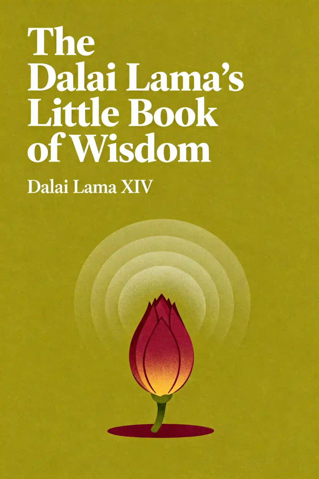 The Dalai Lama's book of wisdom book cover