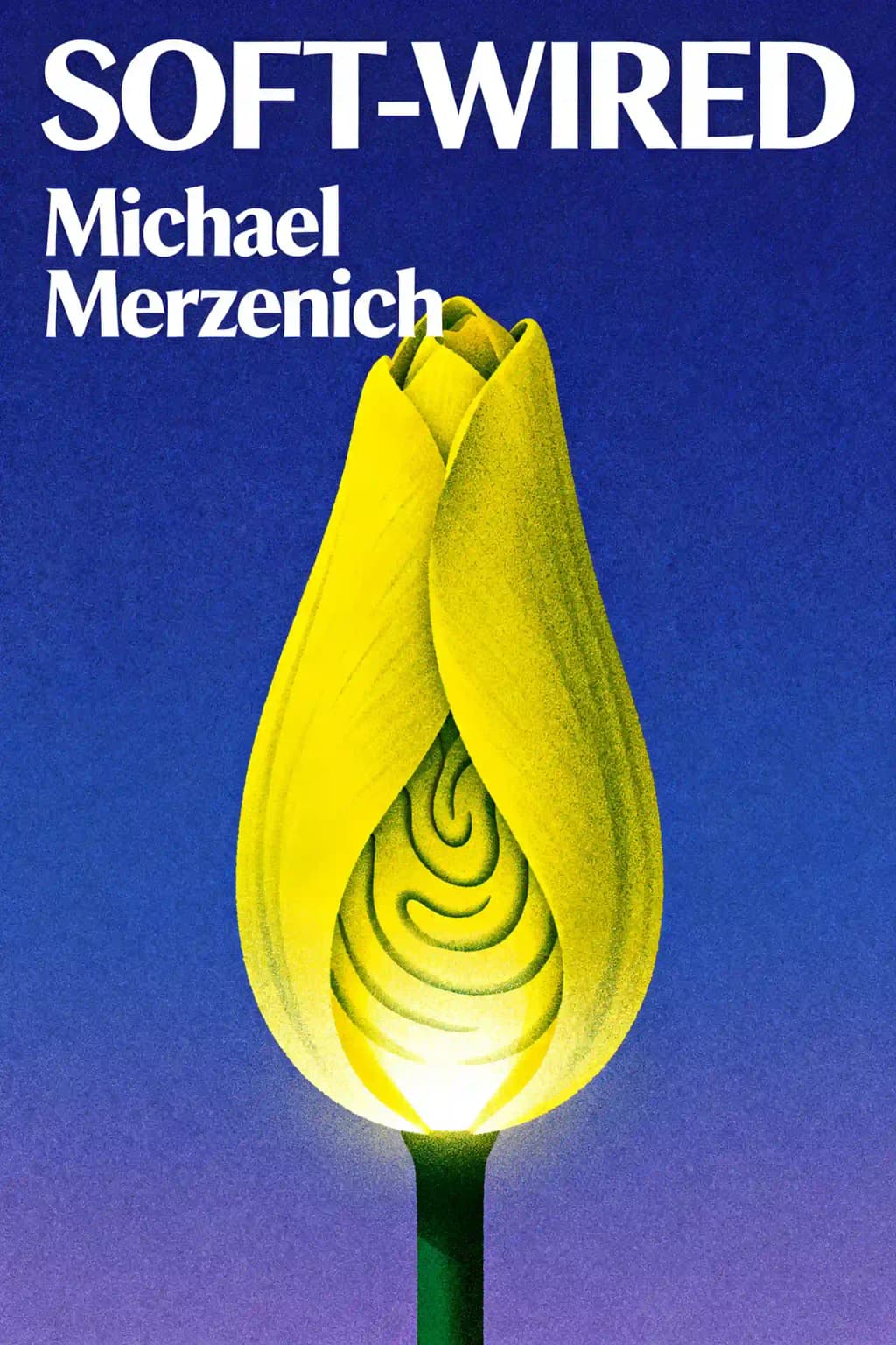 软连线: 大脑可塑性新科学如何改变你的生活 book cover