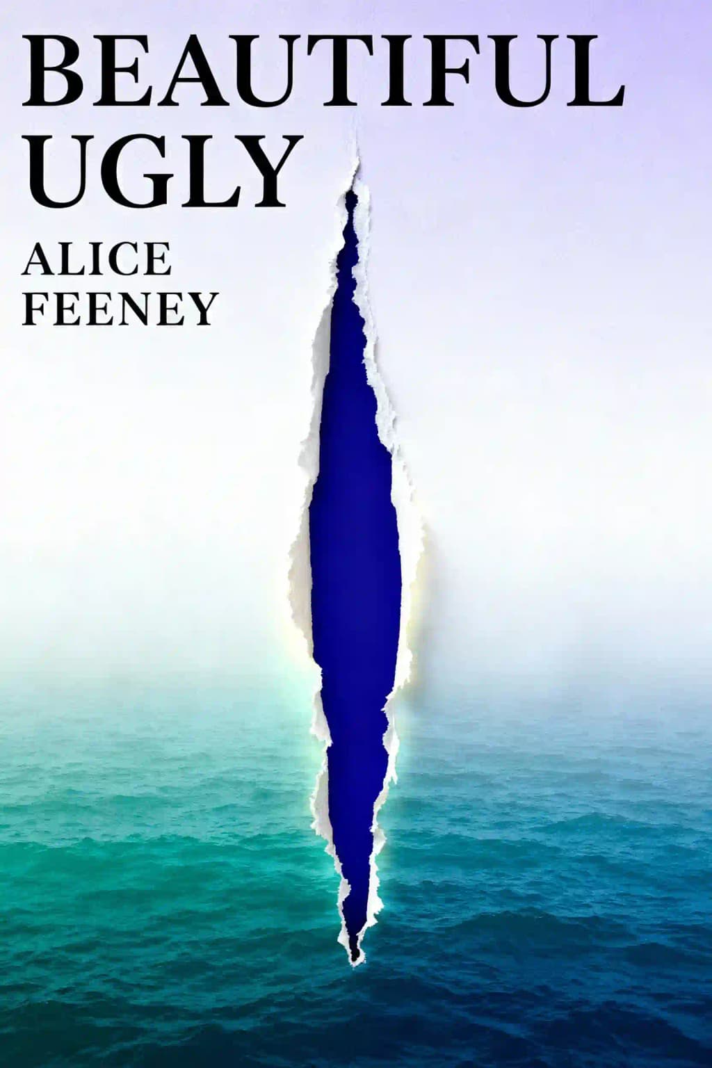 Beautiful Ugly book cover