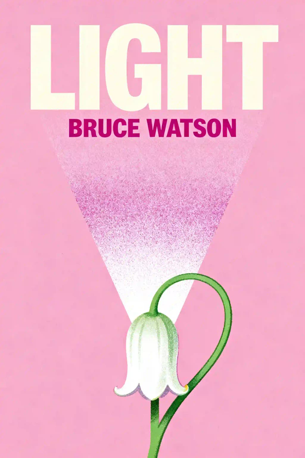 Things We Hide from the Light book cover