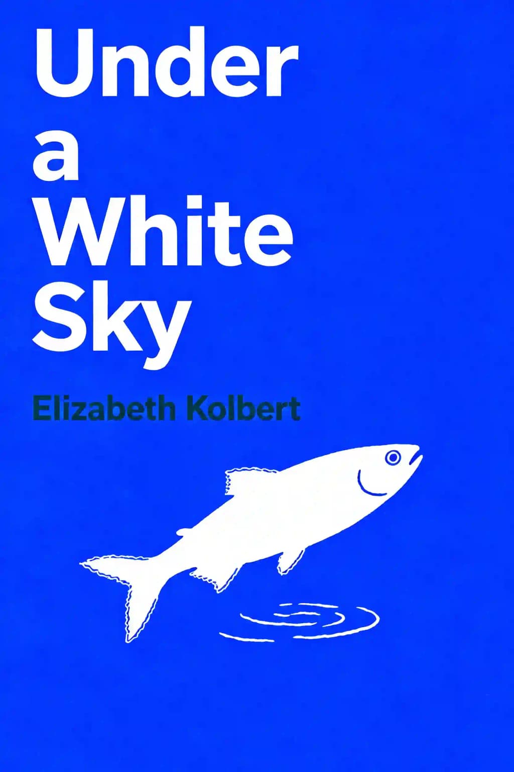 ホワイト・スカイ: 未来の本質 book cover