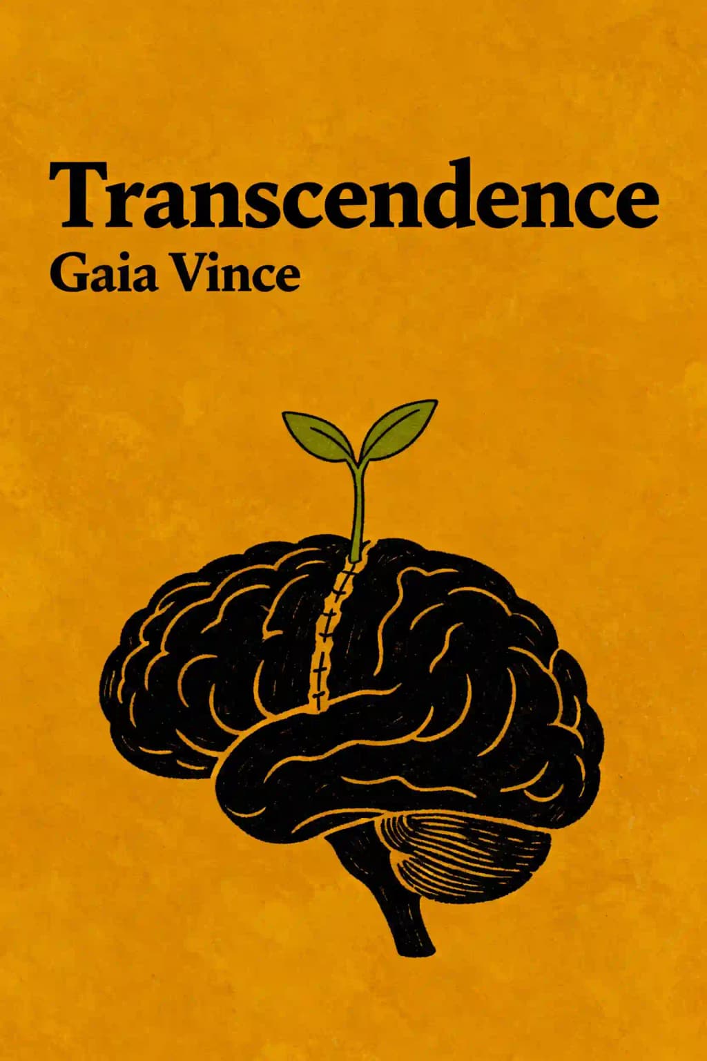 Transcendência: Como os Humanos Evoluíram Através do Fogo, da Linguagem, da Beleza e do Tempo book cover