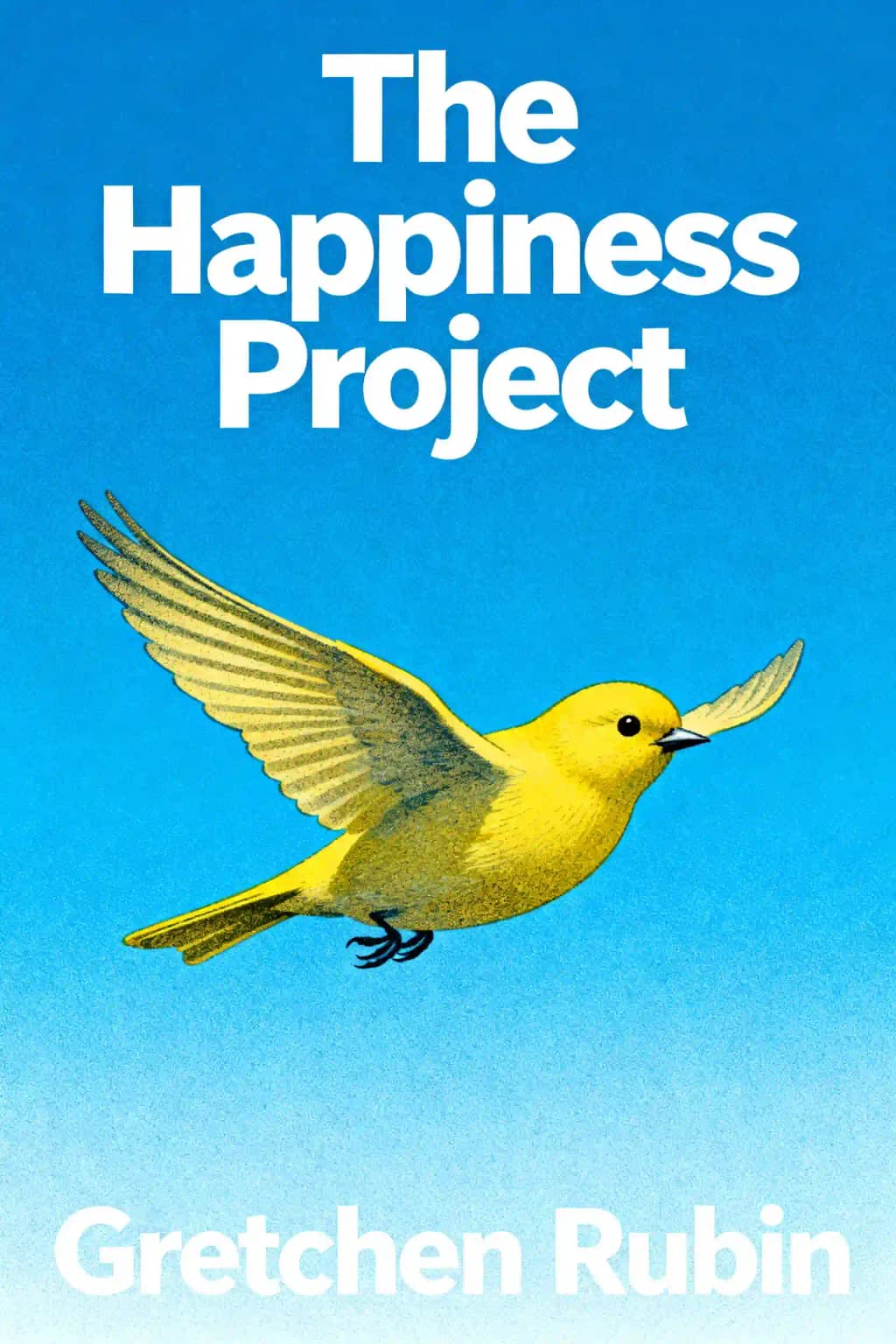 The Happiness Project book cover
