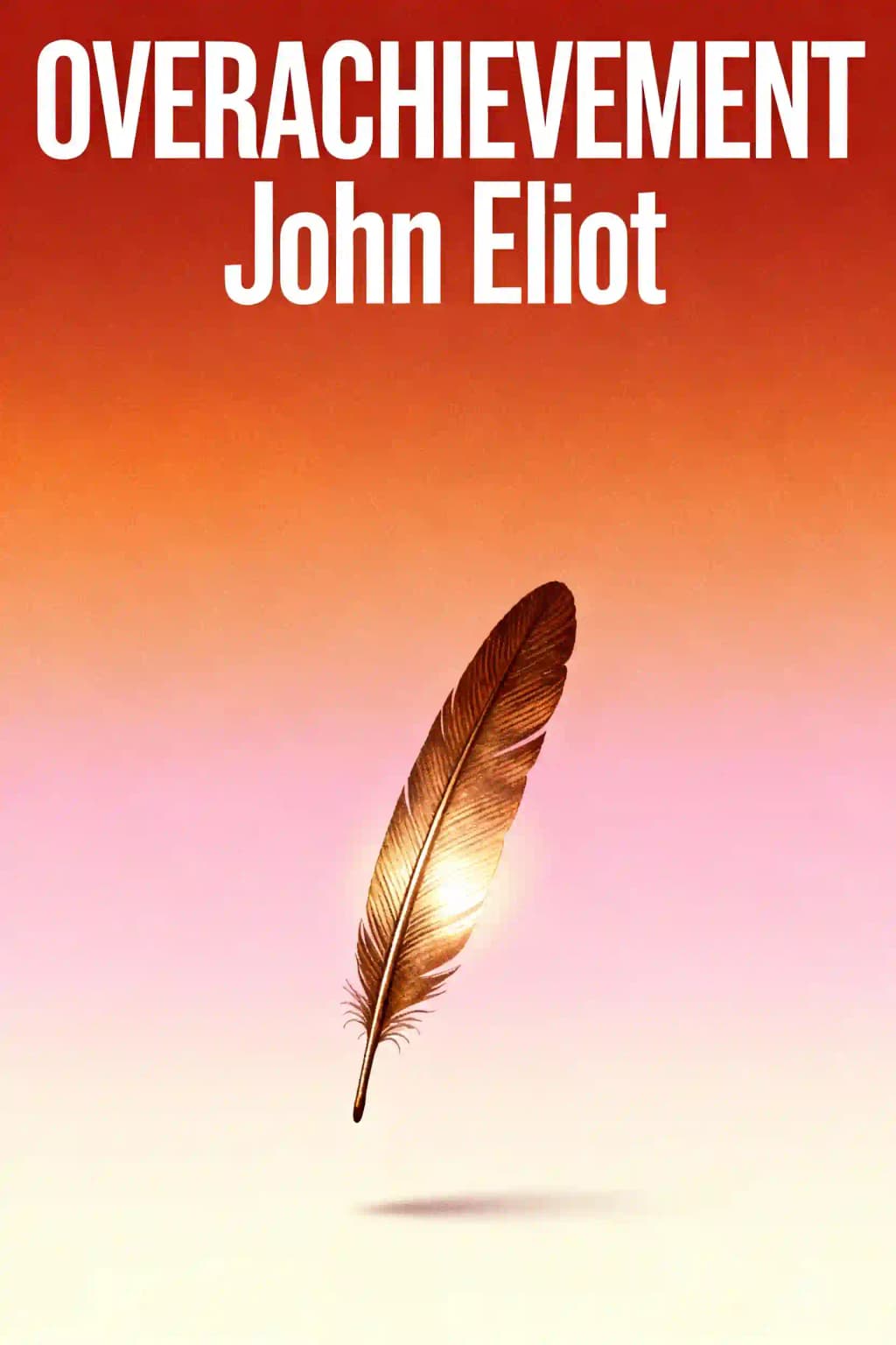 Overachievement book cover