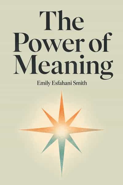 The Power of Meaning 书籍封面