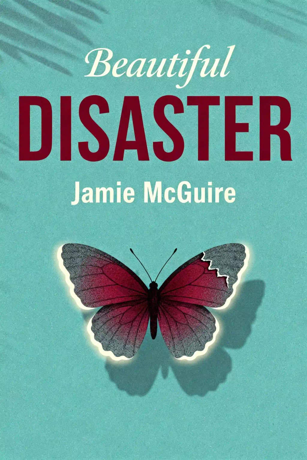 비디사스터 book cover