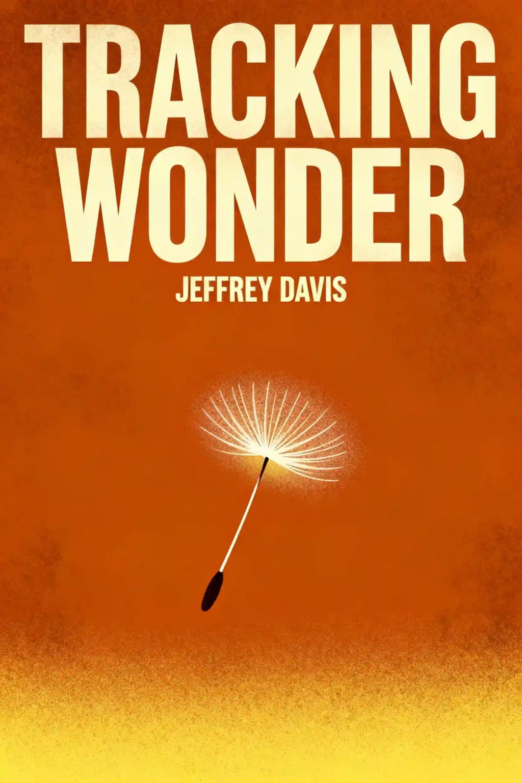 경이로움의 추적: 생산성에 집착하는 세상에서 의미와 가능성이 있는 삶을 되찾기 book cover