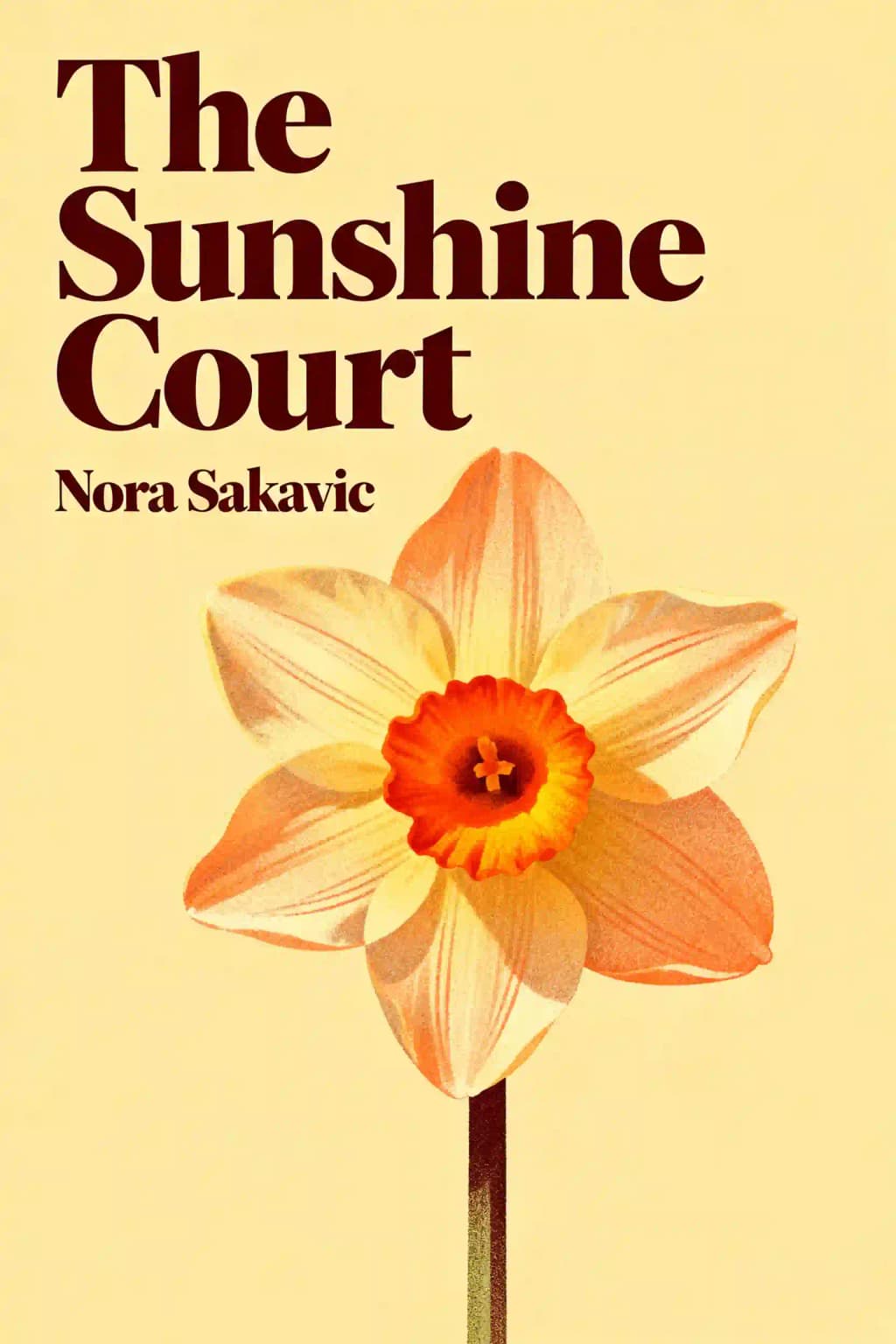 Солнечный корт book cover