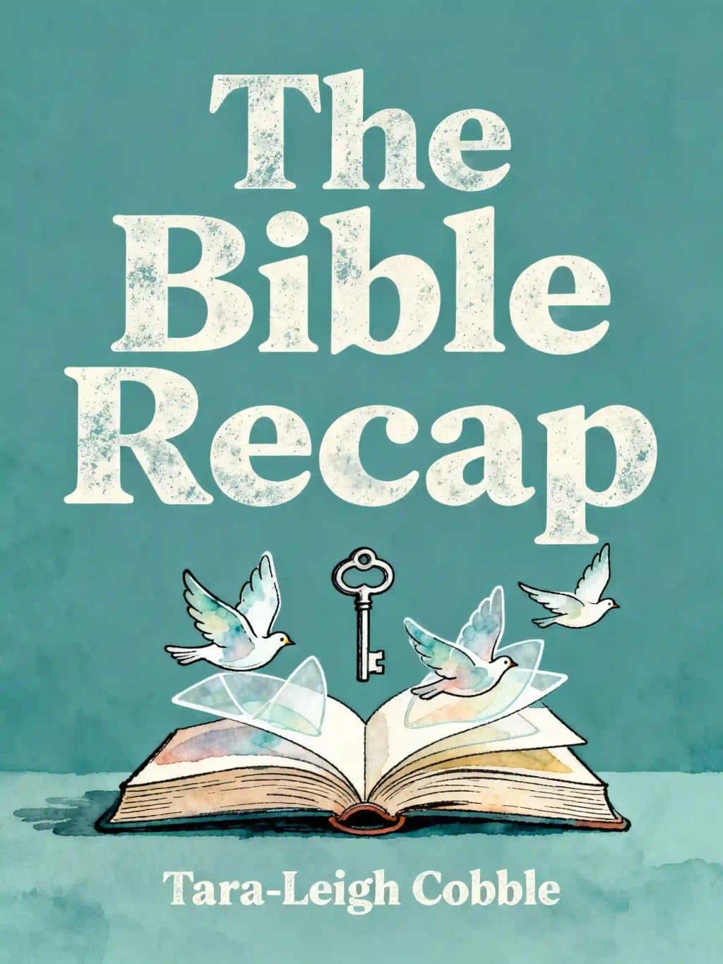 Récapitulatif de la Bible: Guide d'un an pour lire et comprendre l'intégralité de la Bible book cover