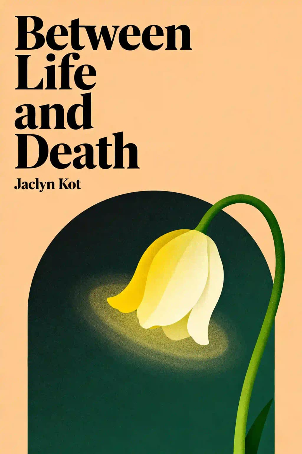 Between Life and Death book cover