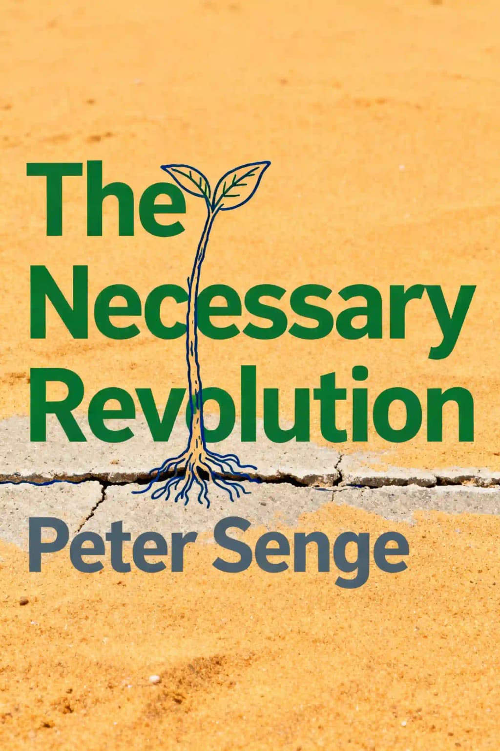 The Necessary Revolution: How Individuals and Organizations Are Working Together to Create a Sustainable World book cover