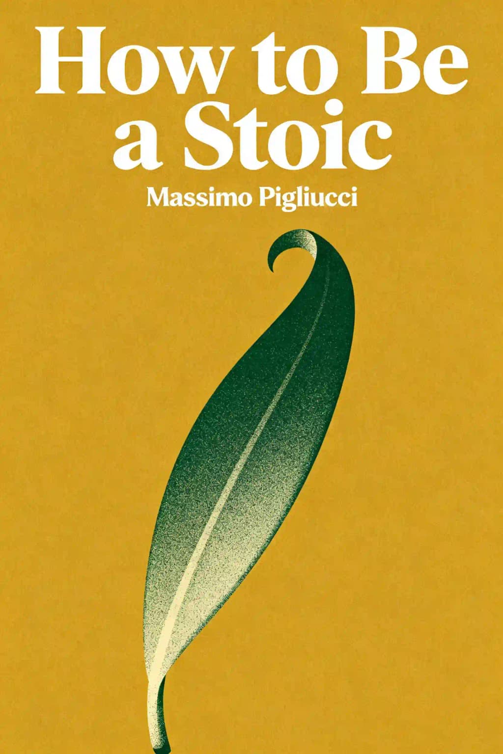 Come essere stoici: Utilizzare la Filosofia Antica per Vivere una Vita Moderna book cover