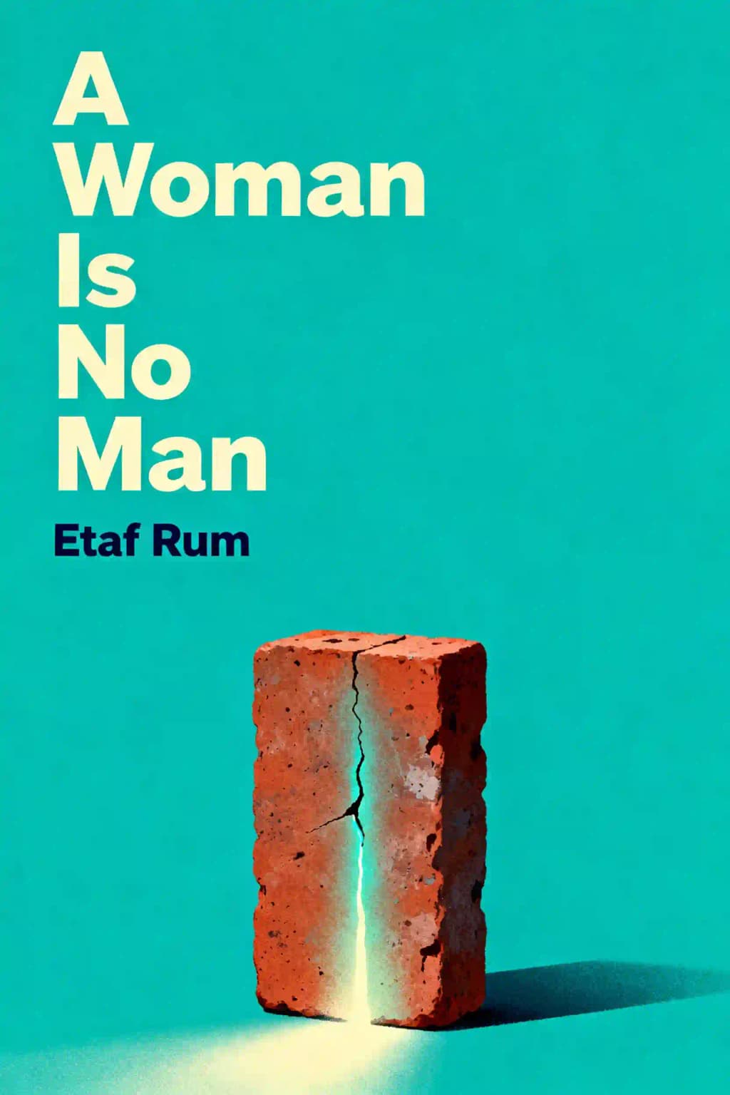 Woman Is No Man: A Novel book cover