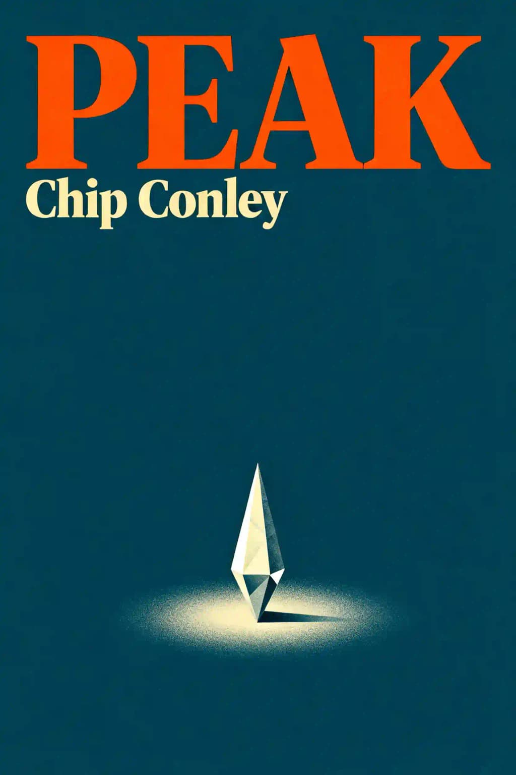 Auge book cover