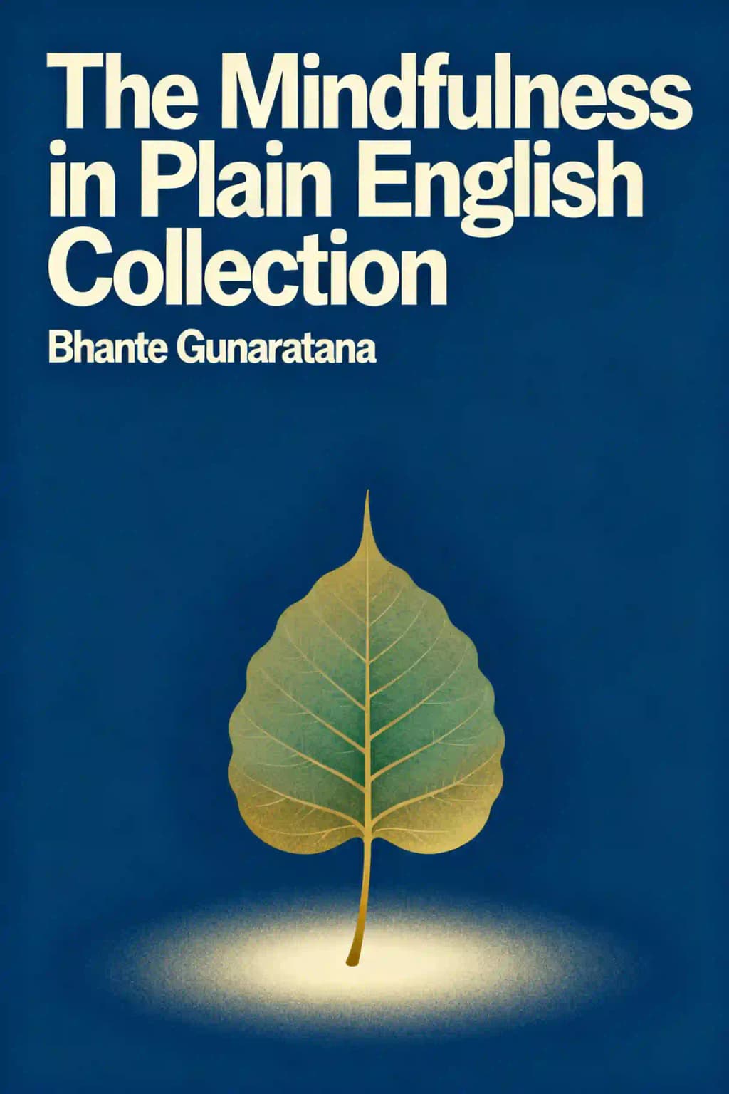 Méditer au quotidien: La pleine conscience en langage clair book cover