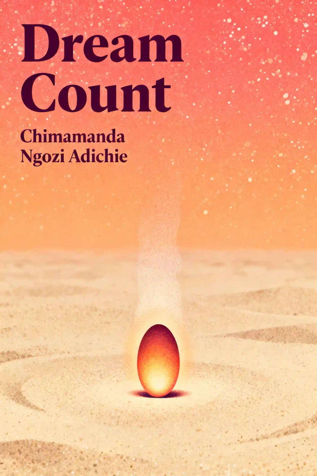 Dream Count: A Novel book cover