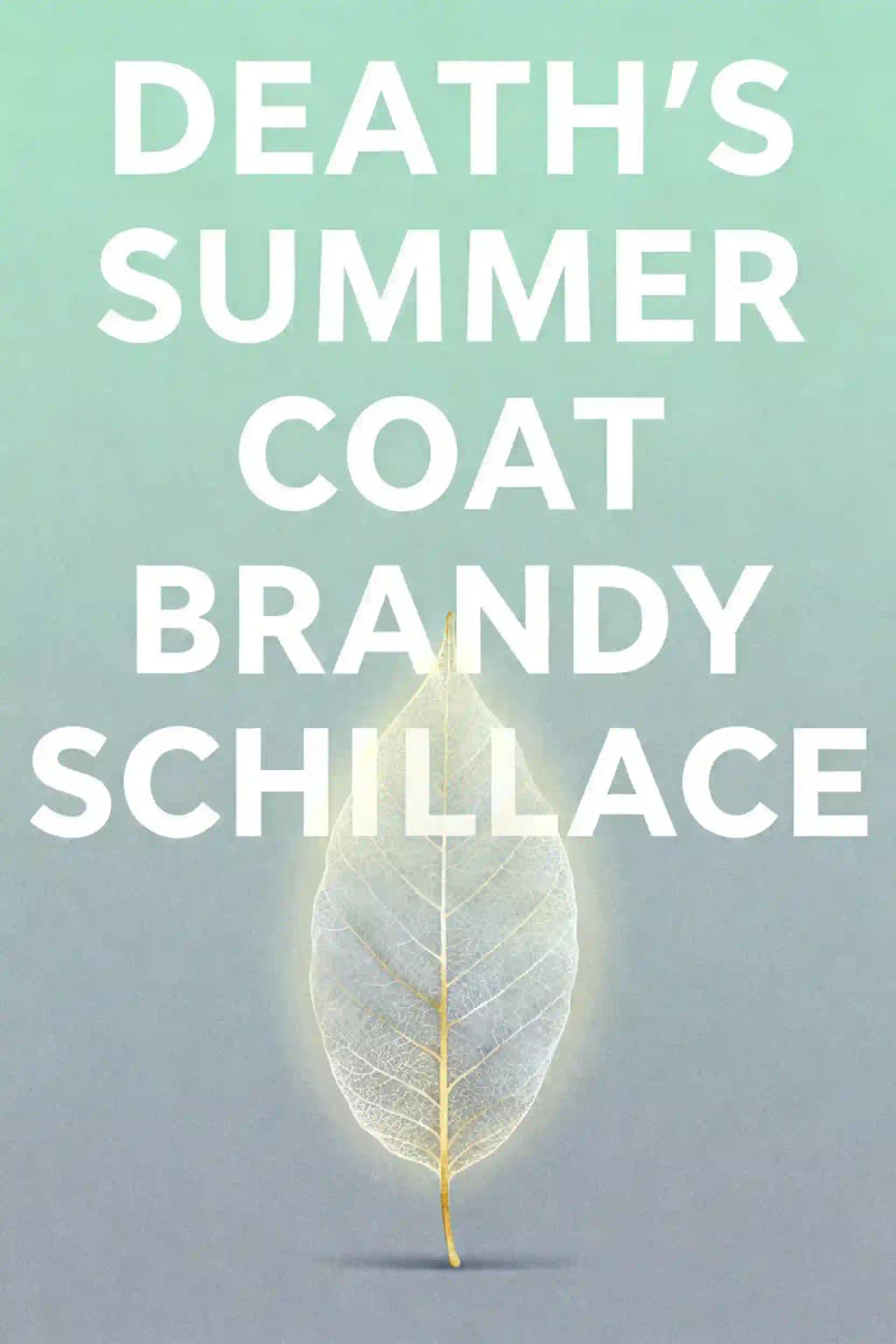 Death's Summer Coat book cover