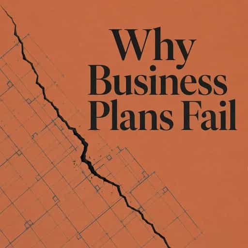 The Blueprint Paradox: Why Most Business Plans Fail book cover