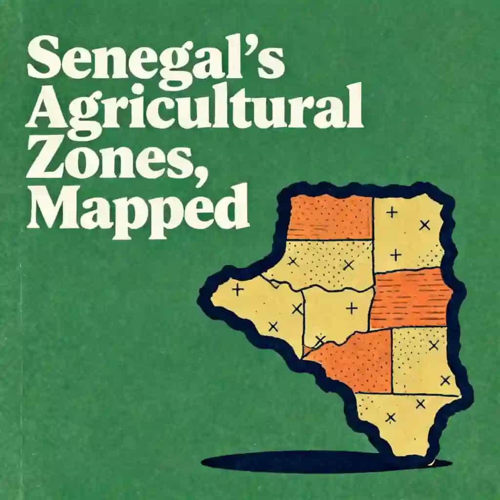 Mapping Senegal’s Agricultural Zones book cover