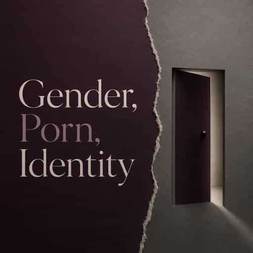 Обложка книги The Gender Closet: Pornography and Identity