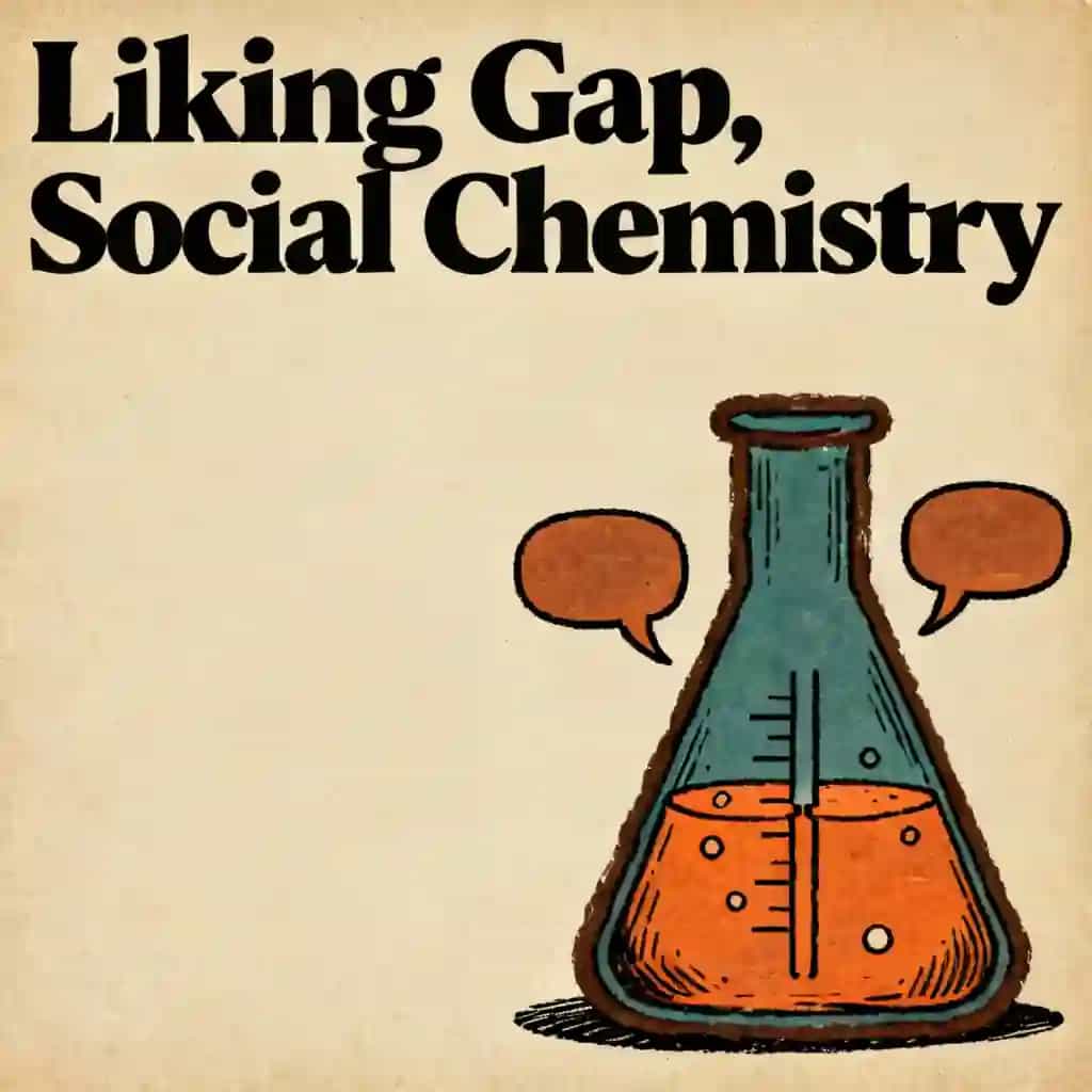 Capa do livro The Liking Gap and Social Chemistry