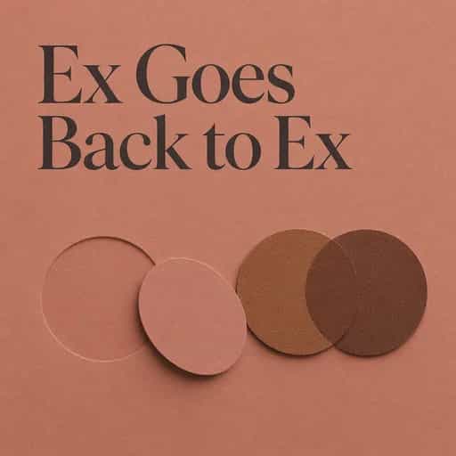 When Your Ex Returns to Their Ex book cover
