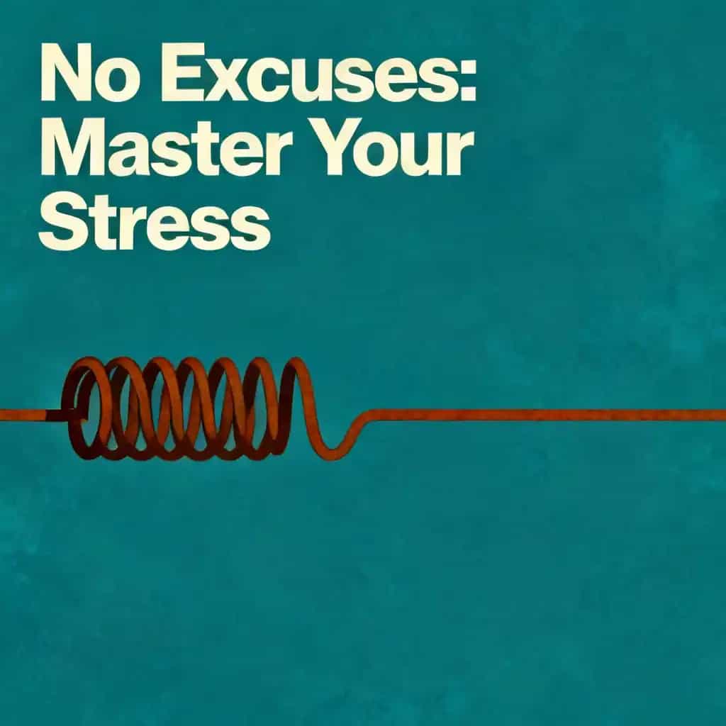Buchcover von Stop Making Excuses: Master Your Stress Response