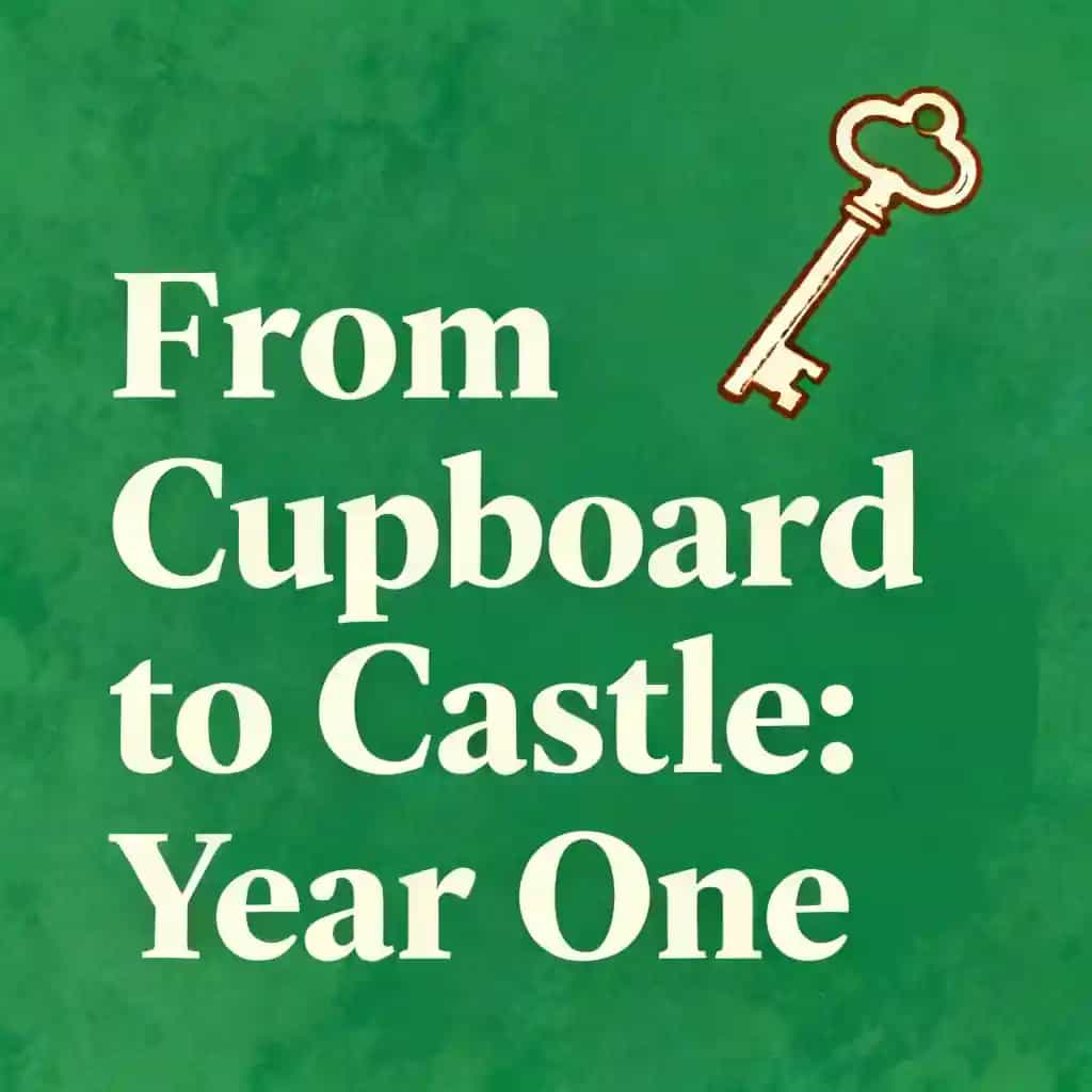 Harry Potter's First Year: Cupboard to Castle book cover