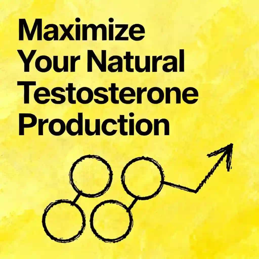 Maximize Your Natural Testosterone Production book cover