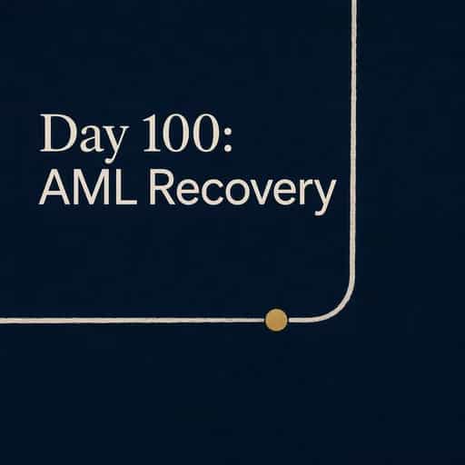 Buchcover von AML Recovery: The Day 100 Transition