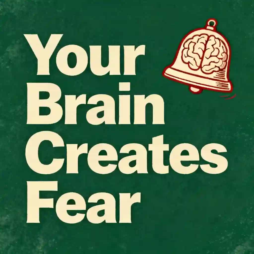 Your Brain Doesn't React to Fear-It Creates It 책 표지